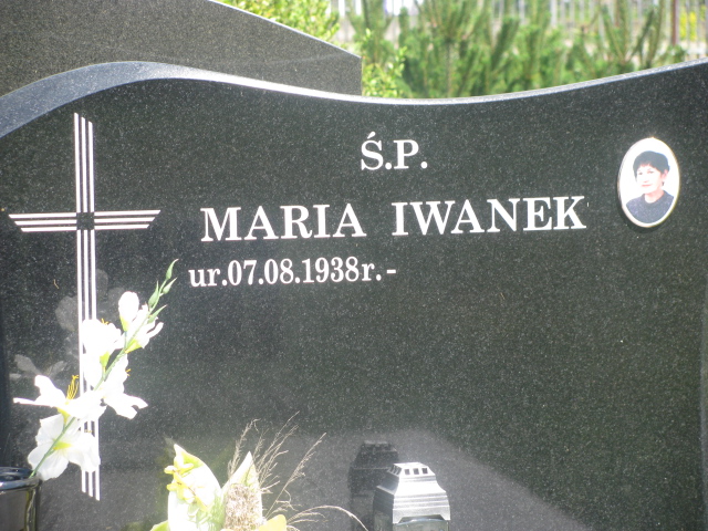 Tomasz Iwanek 1982 Zaborów - Grobonet - Wyszukiwarka osób pochowanych