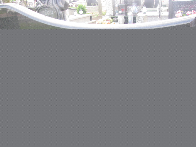 Barbara Niewiadomska 1951 Zaborów - Grobonet - Wyszukiwarka osób pochowanych