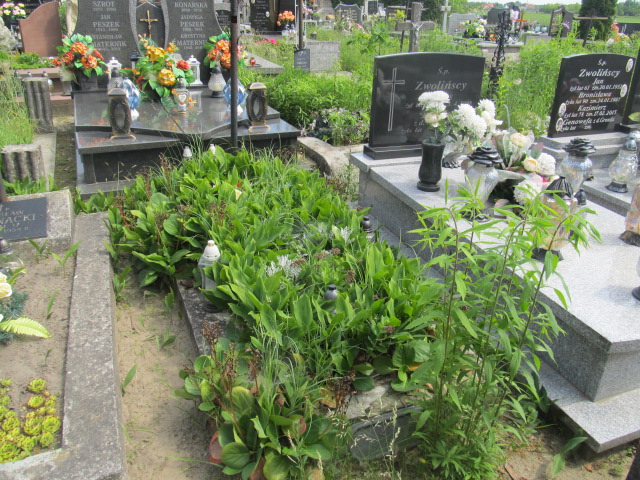 Jan Staniszewski 1885 Zaborów - Grobonet - Wyszukiwarka osób pochowanych